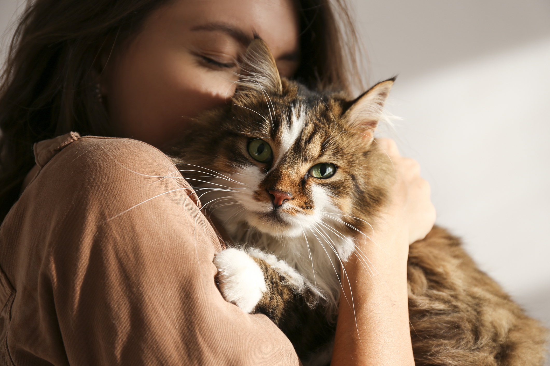 How To Support Your Cat’s Gut Microbiome During & After Antibiotics